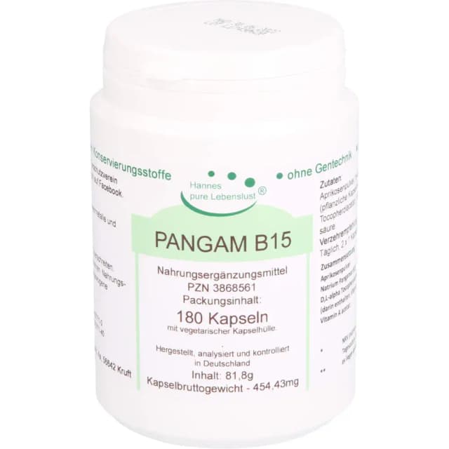 Pangam B15 – supliment cu vitamina B15 (pangamic acid) pentru energie și metabolism cellular | Hannes pure Lebenslust